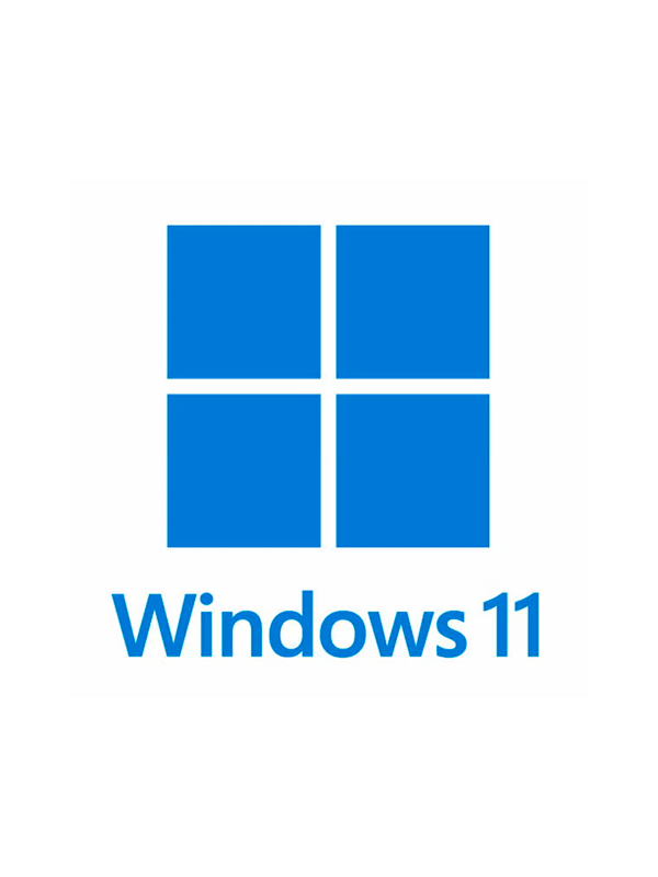 Windows 11